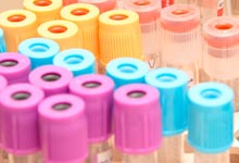 Pôle Activités de Soutien Transversal Pôle Activités de Soutien Transversal